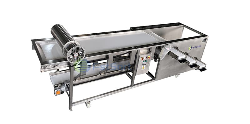 images/1657266497768blueberry grader.jpg